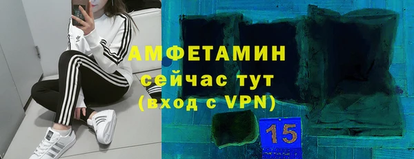 ГАЛЛЮЦИНОГЕННЫЕ ГРИБЫ Балабаново