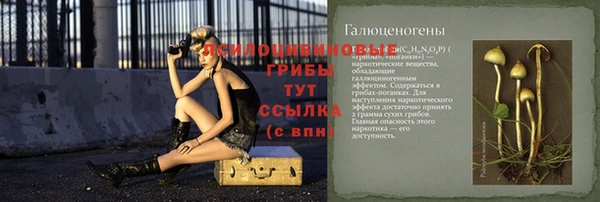 ГАЛЛЮЦИНОГЕННЫЕ ГРИБЫ Балахна