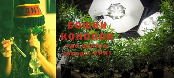 ГАЛЛЮЦИНОГЕННЫЕ ГРИБЫ Балабаново