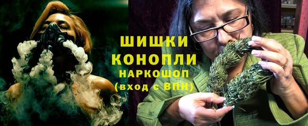 ГАЛЛЮЦИНОГЕННЫЕ ГРИБЫ Балахна