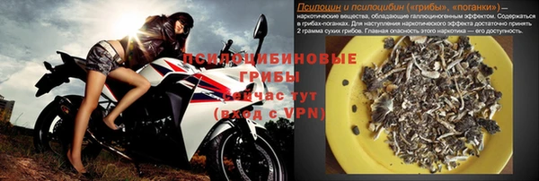 ГАЛЛЮЦИНОГЕННЫЕ ГРИБЫ Балабаново
